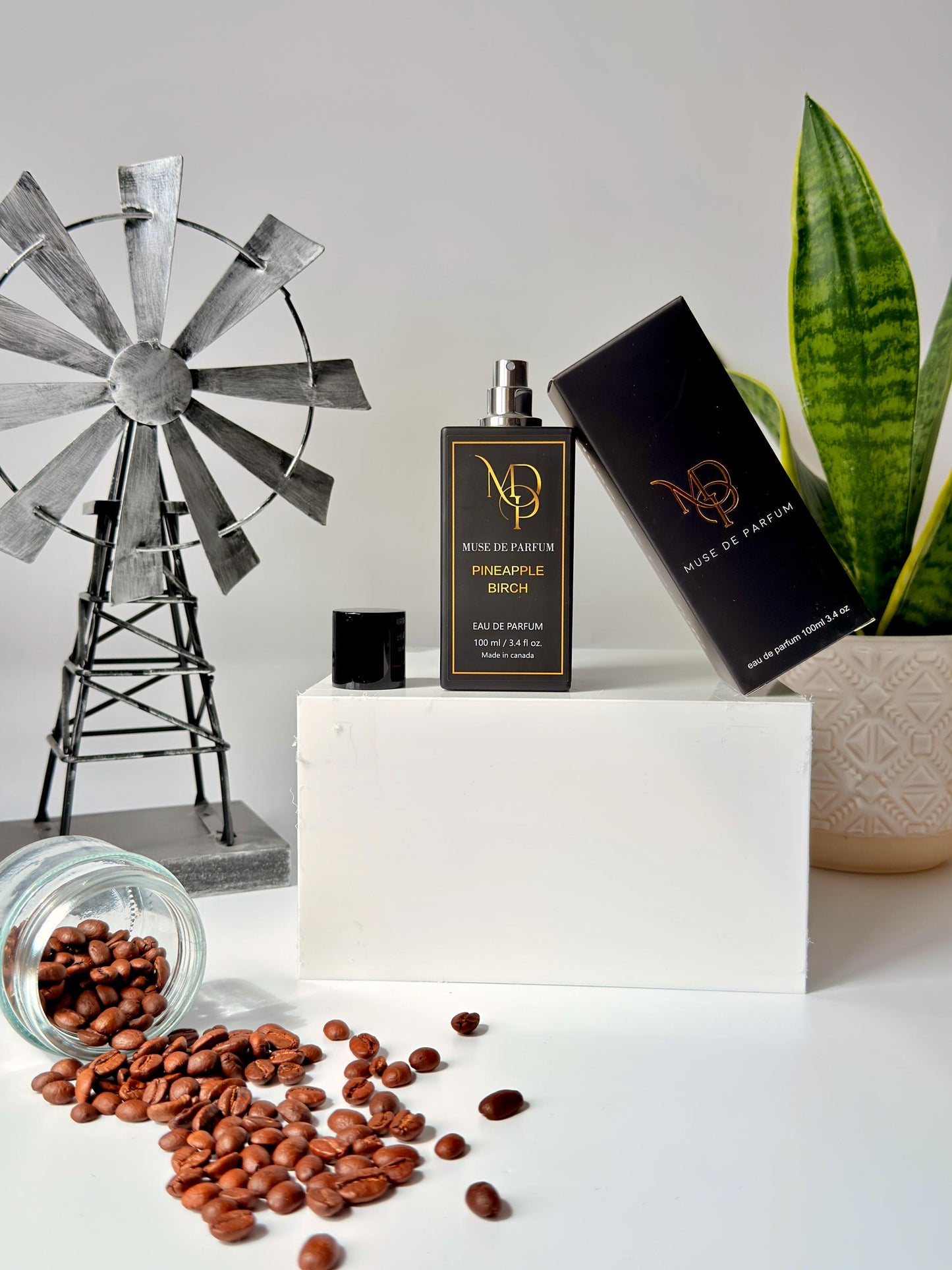 Pineapple Birch — Inspired by Creed Aventus Absolu | Men’s Fruity Woody EDP