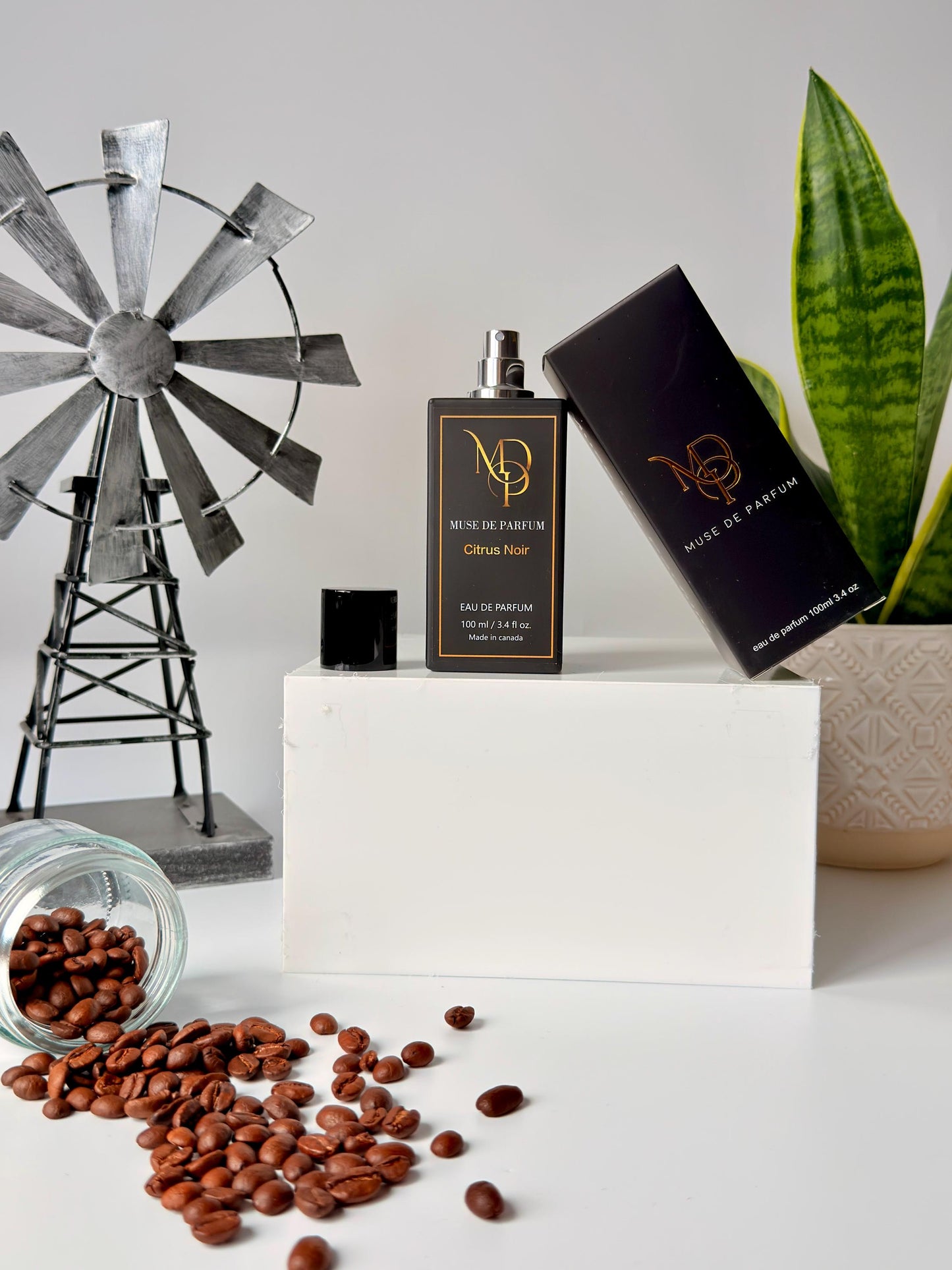 Citrus Noir — Inspired by Bleu de Chanel | Men’s Citrus Woody EDP