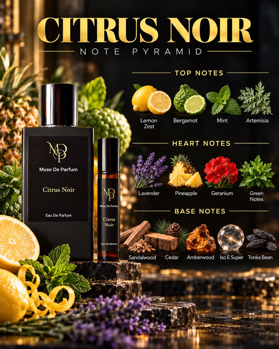 Citrus Noir note pyramid